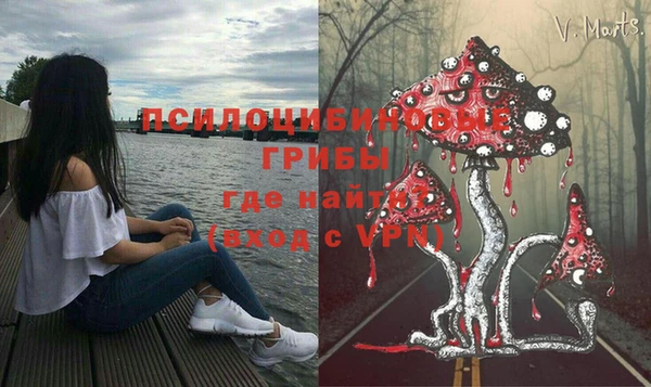 гидра Богородск