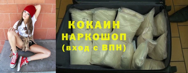 PSILOCYBIN Богородицк