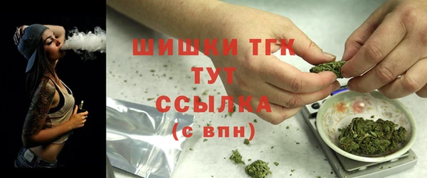 PSILOCYBIN Богородицк