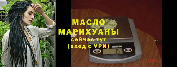 гидра Богородск