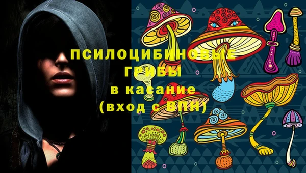 PSILOCYBIN Богородицк