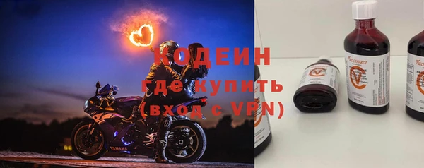 гидра Богородск
