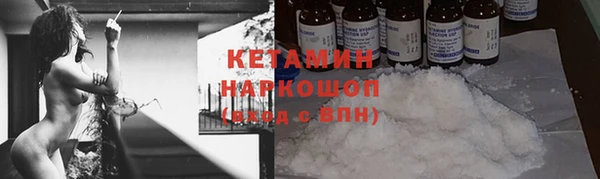 гидра Богородск