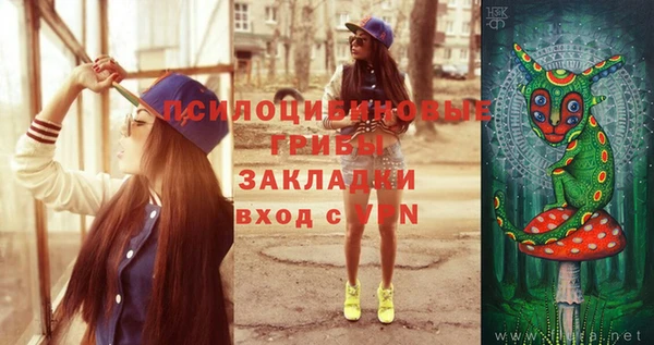 гидра Богородск