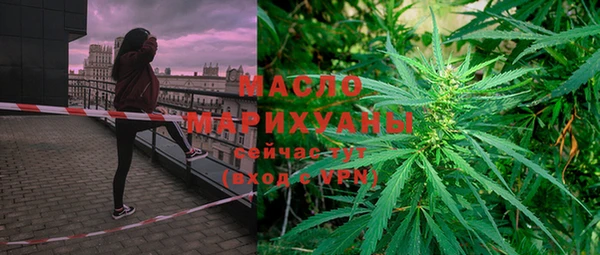 гидра Богородск
