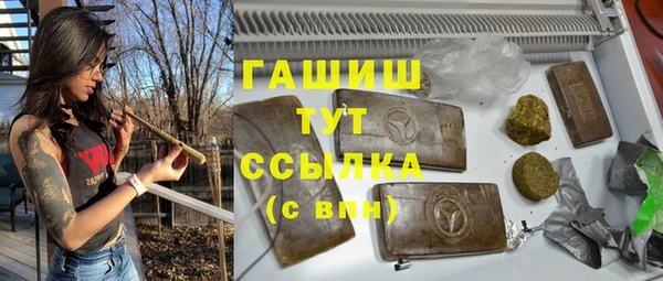 гидра Богородск