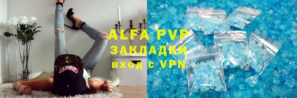 гидра Богородск