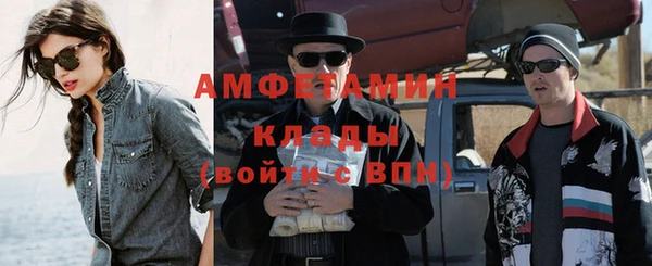 гидра Богородск