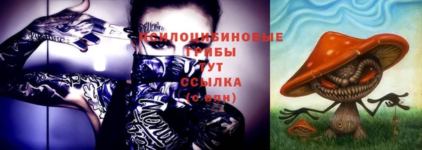 PSILOCYBIN Богородицк