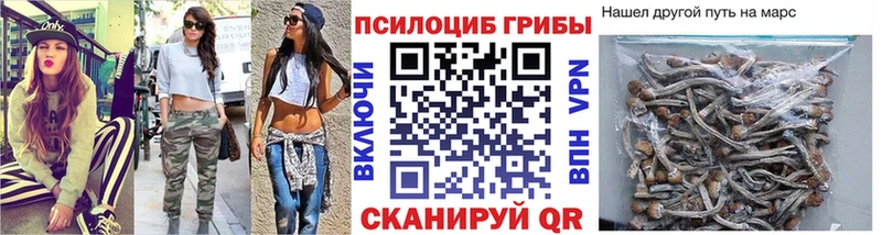 купить  цена  Дубна  Галлюциногенные грибы мухоморы 